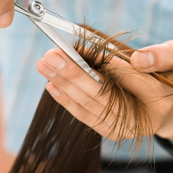 Paul-Mitchell-ServicesCut Paul-Mitchell-ServicesCut